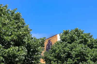 two green trees in front of a building at HM - Ribeira Historical Apartment in Porto