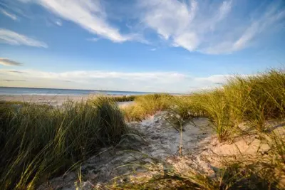 a sandy beach with tall grass and the ocean at Porto Apartments in Porto