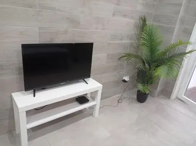 a flat screen tv on a white stand with two plants at Torre dos Clérigos Apartment in Porto