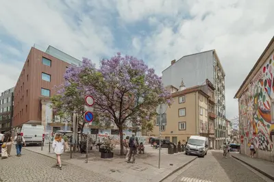 a city street with buildings and a tree with purple flowers at Moinho de Vento Studios in Porto