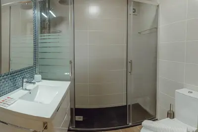 a bathroom with a shower and a sink and a toilet at Bright Apartment by Hosty in Porto