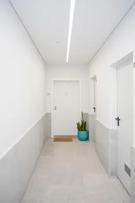 a hallway with a door and a potted plant at Liiiving in Gaia - Cooper Residence Apartment II in Vila Nova de Gaia