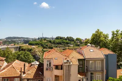 a group of houses with roofs in a city at Lusi'Apartment - Douro River so close by Guest SPA in Porto