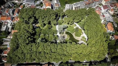 an aerial view of a park in the middle of a forest at Apartment with Private Garden in Porto