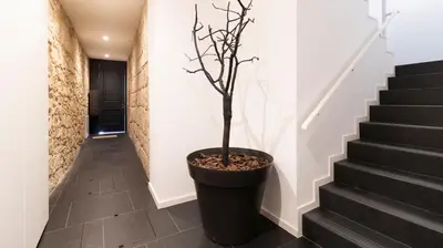 a potted tree in a black pot in a hallway at Luxury Oasis in Bonfim by LovelyStay in Porto