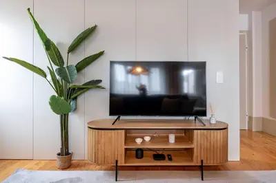 a living room with a television and a potted plant at VIVA Formosa Flat in Porto