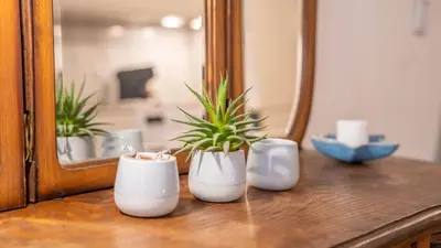 three white vases with plants on a counter in front of a mirror at Taipas Tranquility: Cozy T0 by LovelyStay in Porto