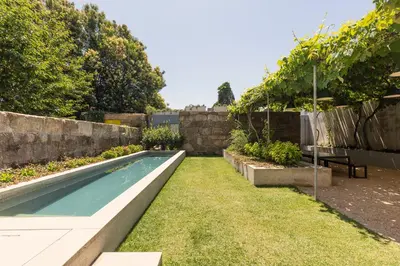 a potted plant sitting next to a window at Vandoma Serviced Apartments in Porto