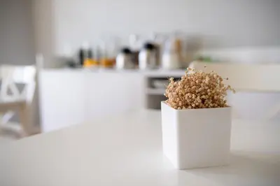 a white vase with a plant in a kitchen at Decanting Porto House in Porto