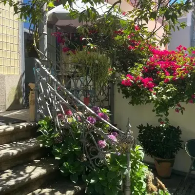 Vila Camélia
