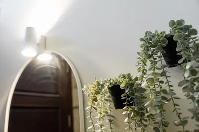 two potted plants on a wall next to a door at GuestReady - Sunny Stay in Porto City Center in Porto