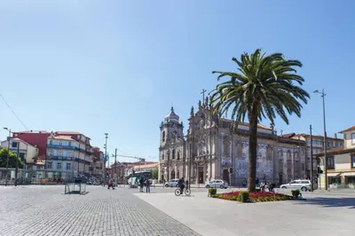 a palm tree in the middle of a city street at Hungarian Biscuits Historic Center in Porto
