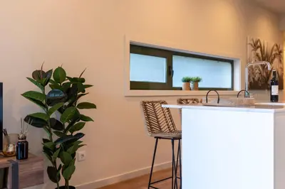 a kitchen with a counter and a sink and a plant at Exotic Flat with Shared Pool & Garden in Porto