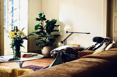 a living room with a couch and a table with plants at Casa Astória - City Centre Historical Building with Amazing River View in Porto