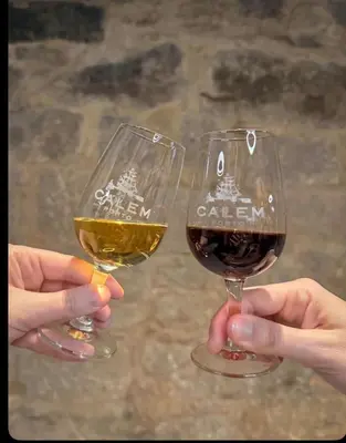 two people holding up glasses of wine at Porto Bello - Apartamento -1 in Porto
