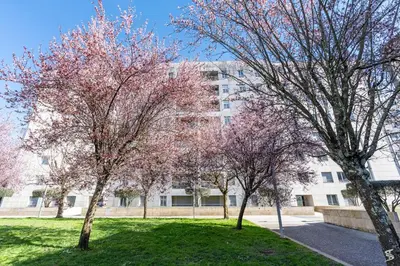 two trees with pink flowers in front of a building at Cedofeita Sunny Apartment - Balcony & Parking in Porto