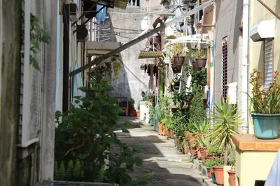 Gallery image of Fontaínhas Heritage House in Porto