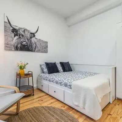 Charming Studio with Garden in Porto
