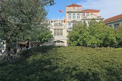 a large building with a tree in front of it at FLH Boavista Woody Flats in Porto