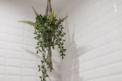 a plant in a vase hanging from a wall at GuestReady - Oporto Temptation Apartment in Porto
