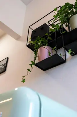 two black planters with plants on a wall at Rola Art Work Studio II by DA'HOME in Porto