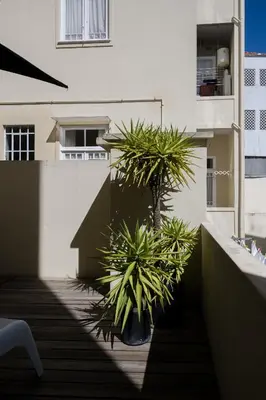 a balcony with two palm trees on a building at Baixa24 · City Center Private Sun Deck Apartment in Porto