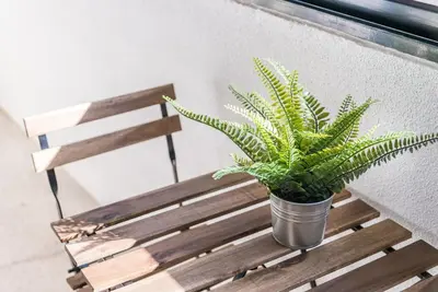 a potted plant sitting on a wooden bench at GuestReady - Lightform Apartment in Porto
