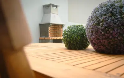 two plants sitting on a wooden table with a bird house at The Cale - Antero de Quental - 11 in Porto