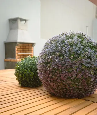 two plants sitting on top of a wooden table at The Cale - Antero de Quental - 11 in Porto