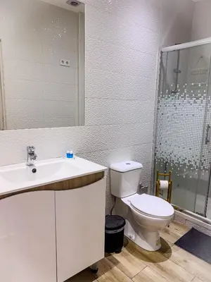 a bathroom with a toilet and a sink and a shower at Antero de Quental Studios 2 in Porto