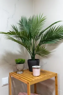 a potted plant sitting on a wooden table at The Charm Bonfim OPO in Porto