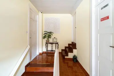 a hallway with stairs and a table with a plant at The Charm Bonfim OPO in Porto