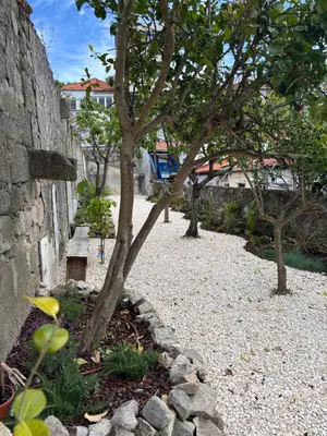 a tree in a garden next to a stone wall at Charming 2BR w Terrace & Garden in Porto