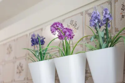 three white vases with purple flowers in them at GuestReady - Eclectic haven in the heart of Porto in Porto
