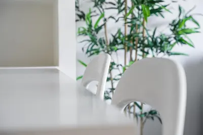 a white bathroom counter with a toilet and a plant at GuestReady - Welcoming place in Porto in Porto