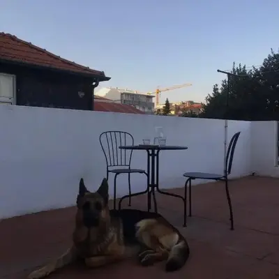 Porto's secret backyard