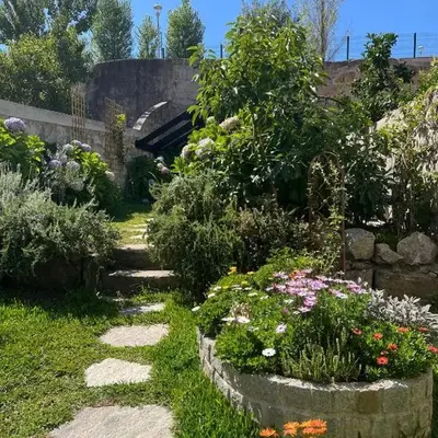 Hidden Gem near city center- garden
