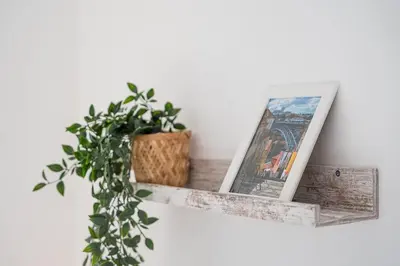 a shelf with pictures and a plant on a wall at GuestReady - Oporto Old Town House 2 in Porto