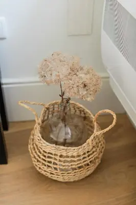 a small tree in a basket on the floor at Downtown Refuge Camões in Porto