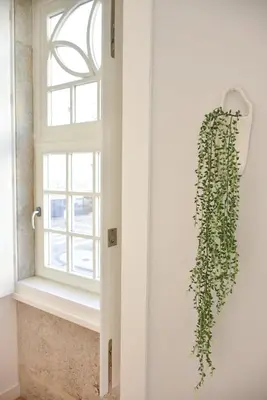 a window in a room with a ivy at Central and comfortable apartment -downtown in Porto