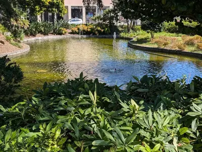 a pond with two ducks in the water at Downtown Studio 80 meters to metro and Free Parking in Porto