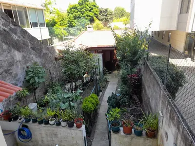 a garden with plants in pots in a building at O Alecrim in Porto