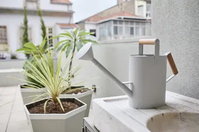 a white trash can sitting on a ledge with plants at VIVA Ildefonso Serviced Apartments in Porto