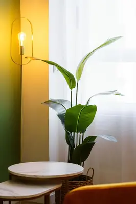 a table and a plant in a room at Green Universe Porto by MyMoradia in Porto