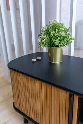 a black table with a potted plant on top of it at Happy's Apartments in Porto