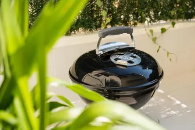 a phone is sitting on a table next to some plants at Terraced Apartment in the Heart of Porto - Free Parking in Porto