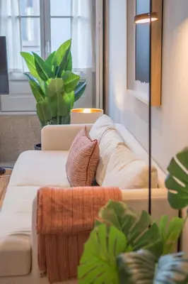 a couch in a living room with plants at Almada 151 - 2F in Porto