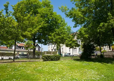 a park with trees and green grass and white flowers at Azulejos Loft, by Flat in Porto in Porto