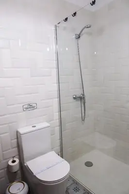 a white bathroom with a toilet and a shower at Porto Family Home Apartment in Porto