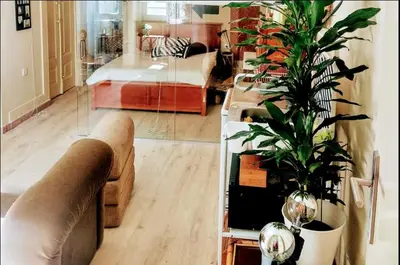 a living room with a couch and a potted plant at Family&Friends 1 - cosy&central in Porto